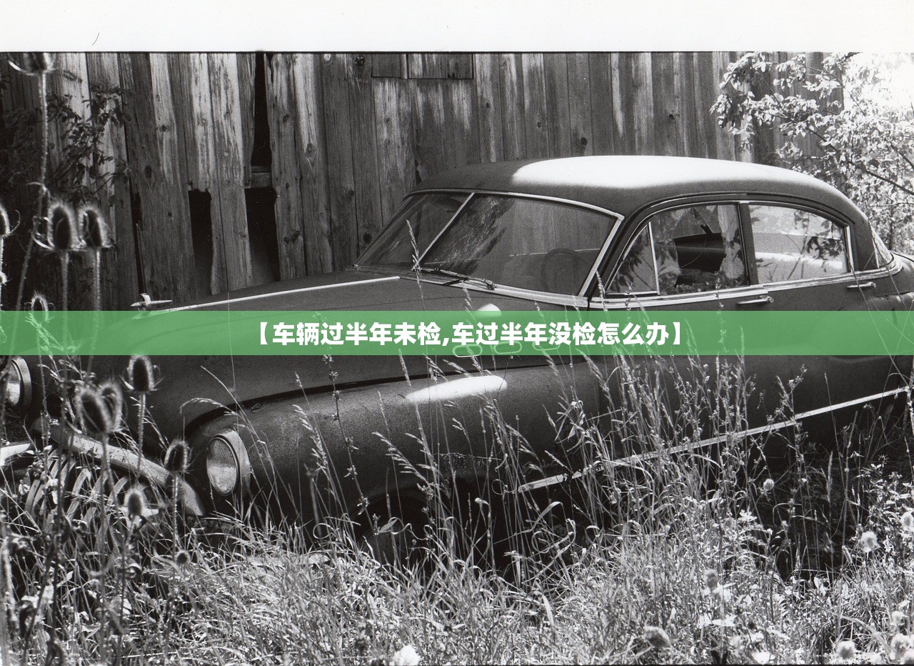 【车辆过半年未检,车过半年没检怎么办】 【车辆过半年未检,车过半年没检怎么办】