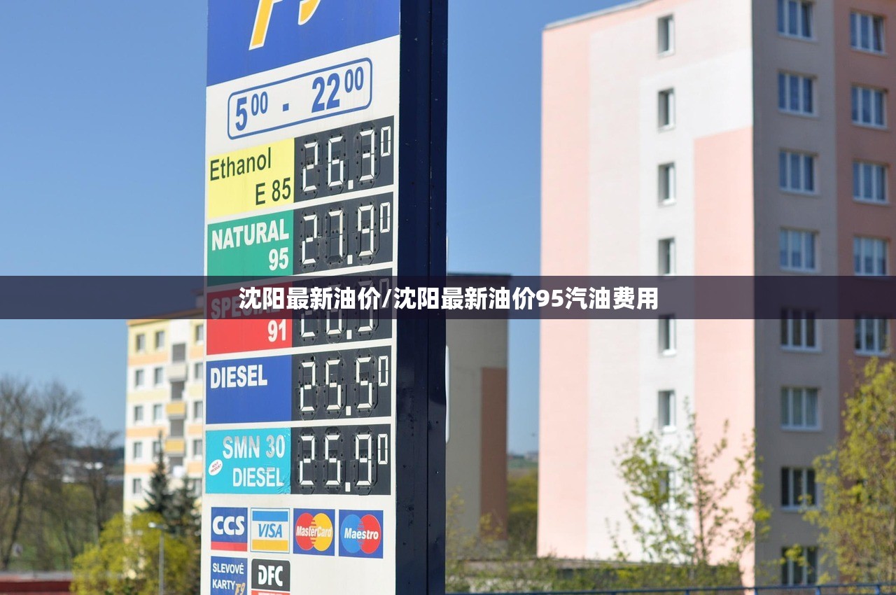 沈阳最新油价/沈阳最新油价95汽油费用