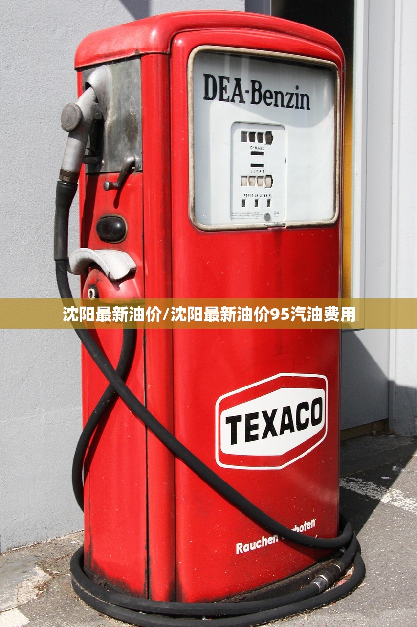 沈阳最新油价/沈阳最新油价95汽油费用