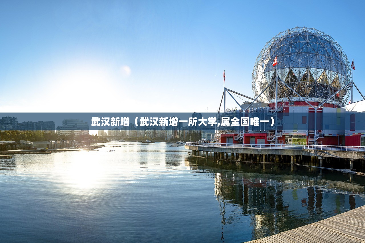 武汉新增（武汉新增一所大学,属全国唯一）