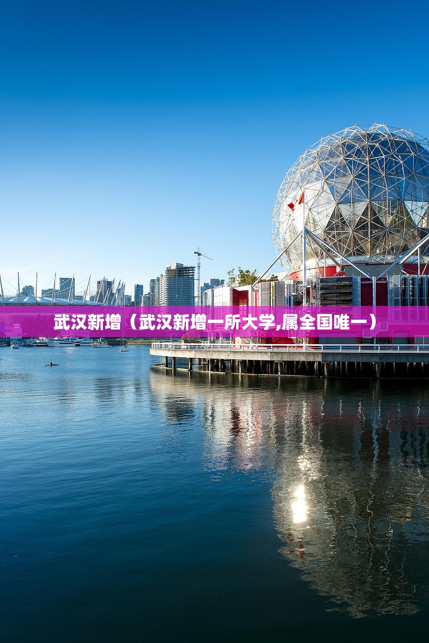 武汉新增（武汉新增一所大学,属全国唯一）