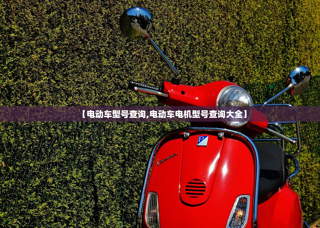 【电动车型号查询,电动车电机型号查询大全】