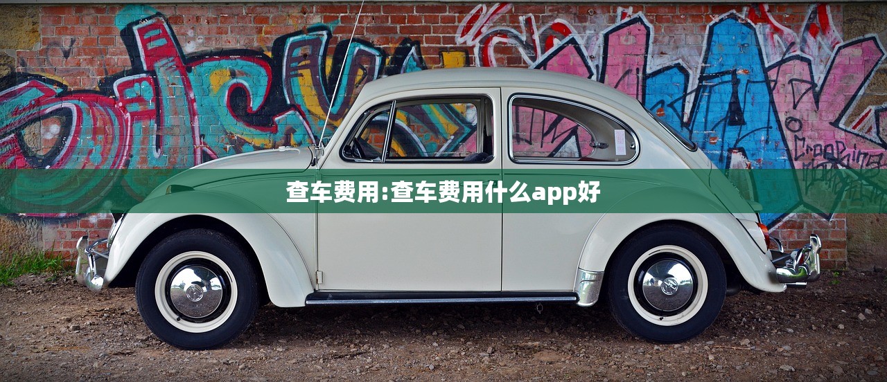 查车费用:查车费用什么app好