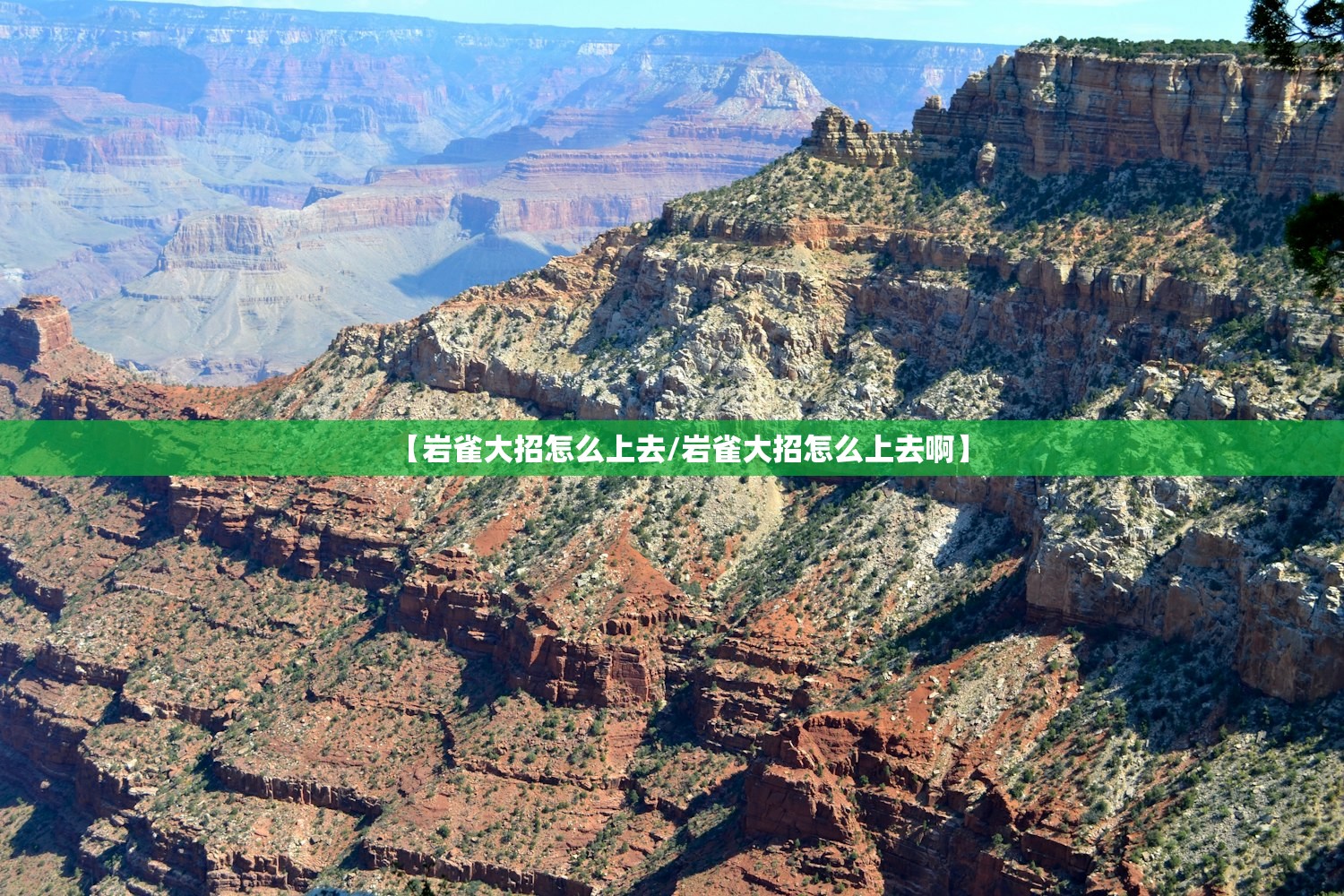 【岩雀大招怎么上去/岩雀大招怎么上去啊】