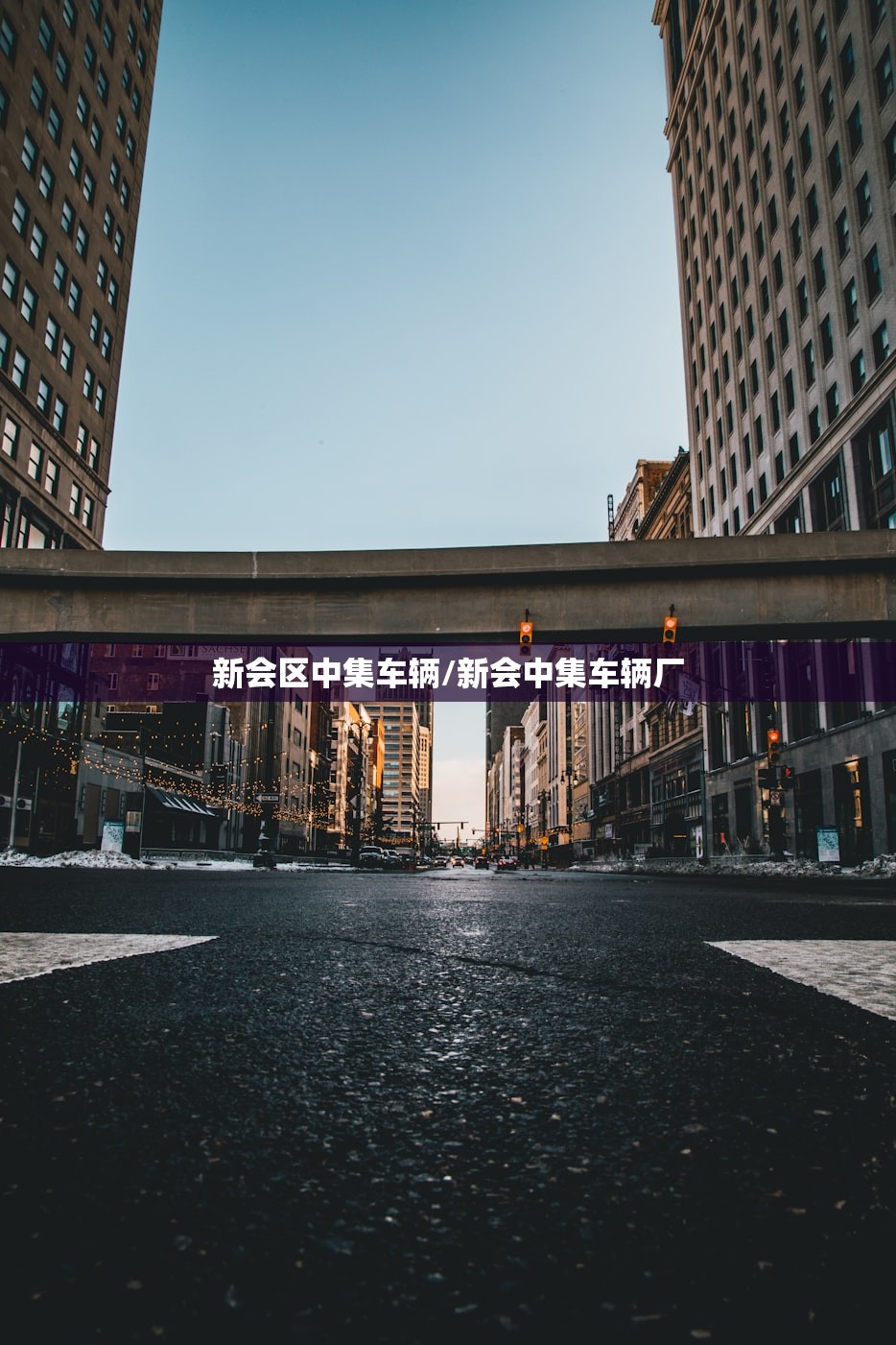 新会区中集车辆/新会中集车辆厂 新会区中集车辆/新会中集车辆厂