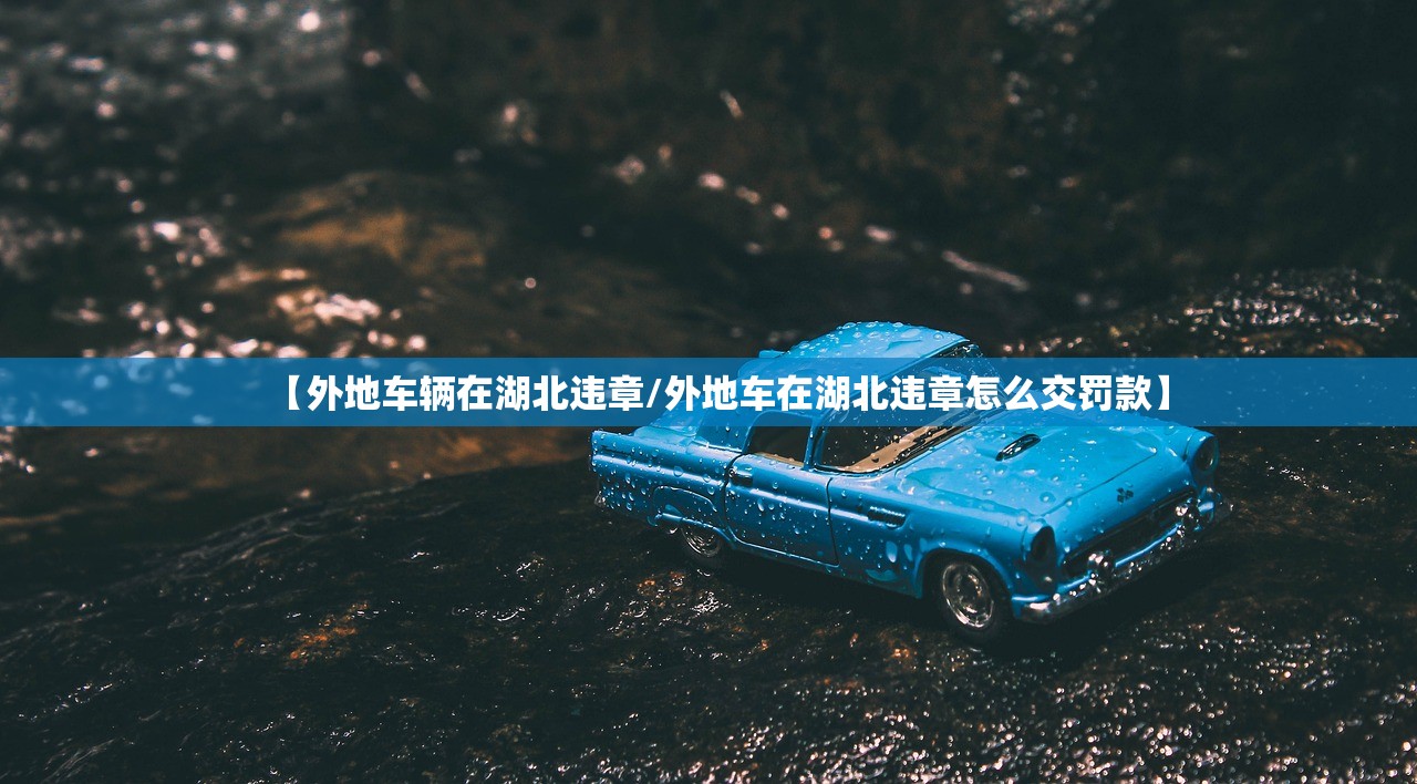 【外地车辆在湖北违章/外地车在湖北违章怎么交罚款】