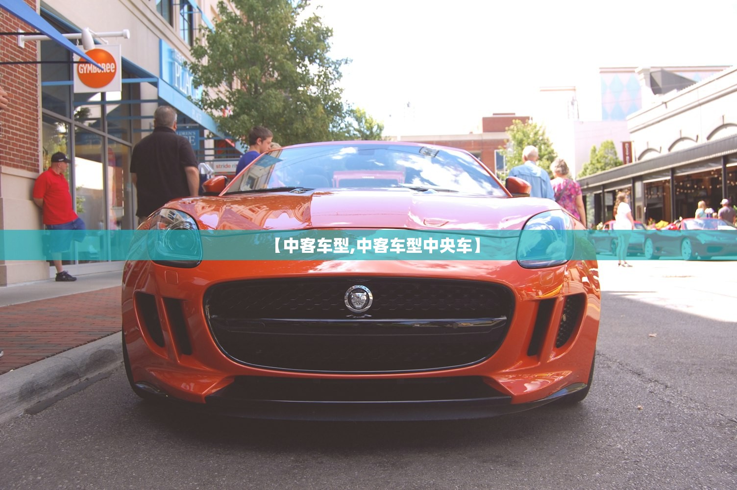 【中客车型,中客车型中央车】 【中客车型,中客车型中央车】