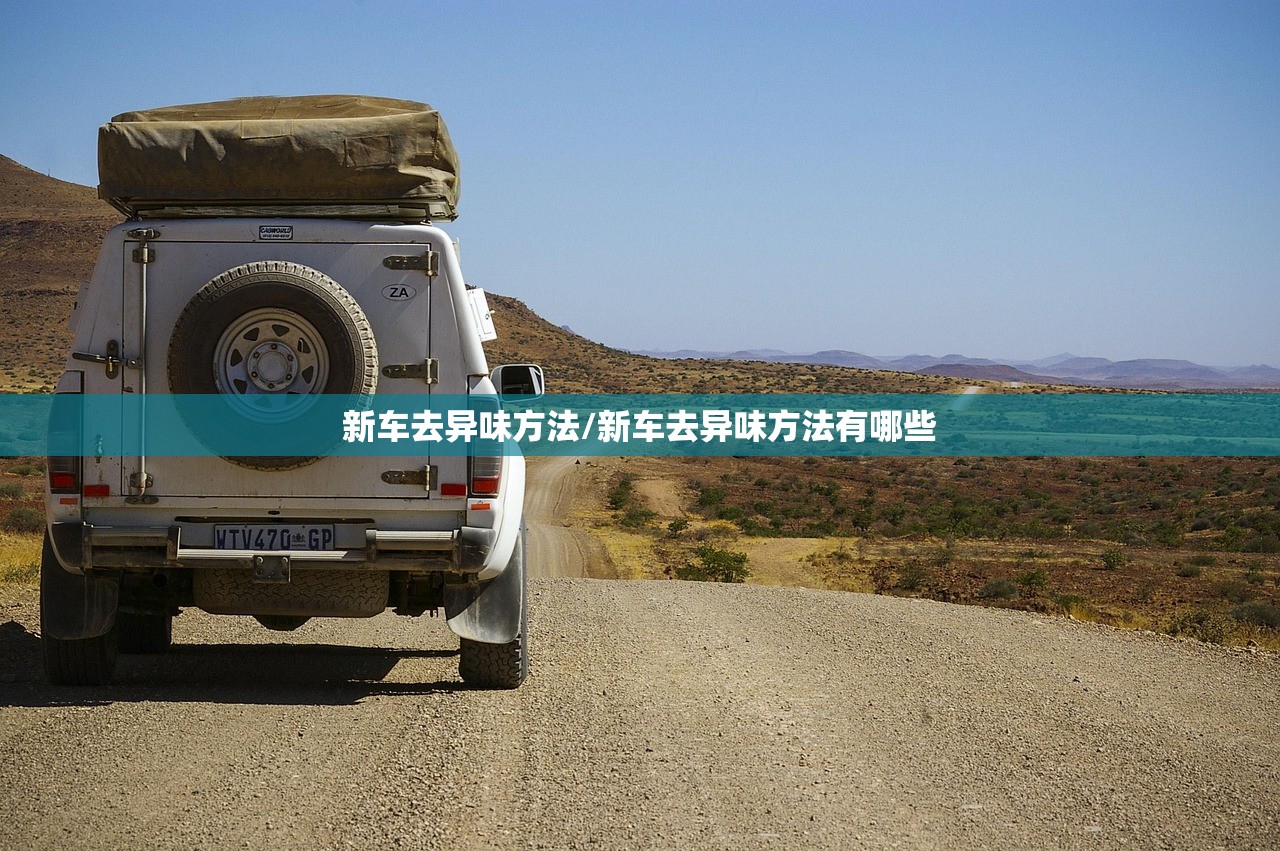新车去异味方法/新车去异味方法有哪些