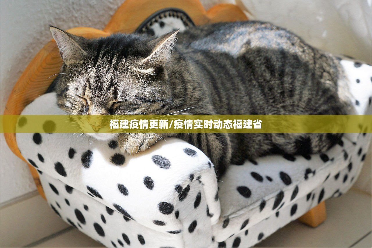福建疫情更新/疫情实时动态福建省