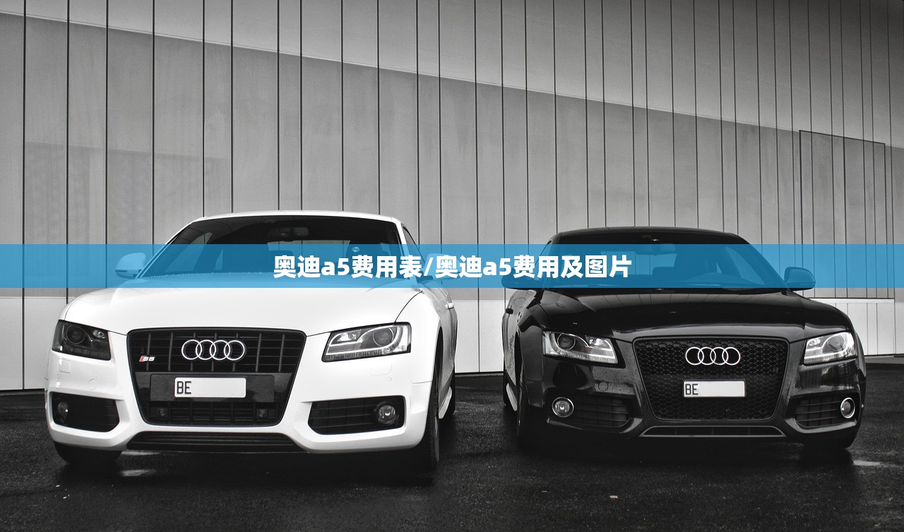 奥迪a5费用表/奥迪a5费用及图片