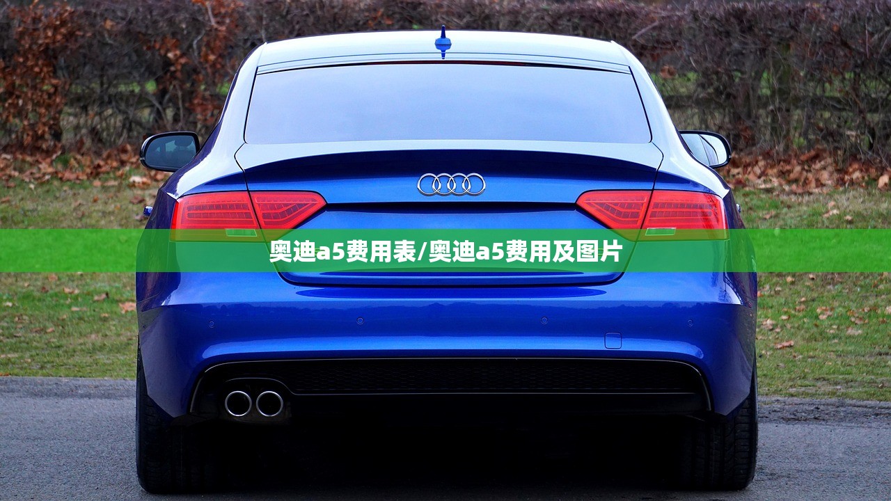 奥迪a5费用表/奥迪a5费用及图片