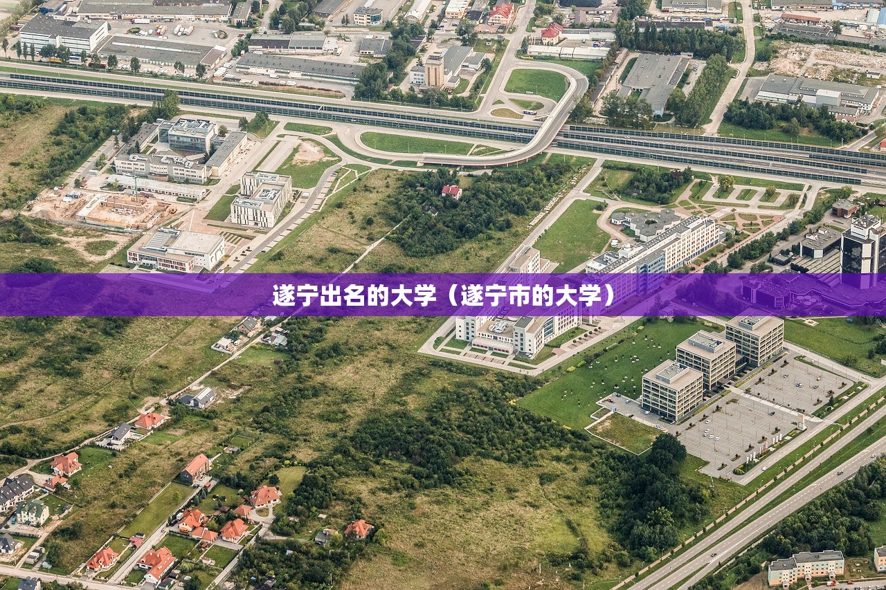 遂宁出名的大学（遂宁市的大学）