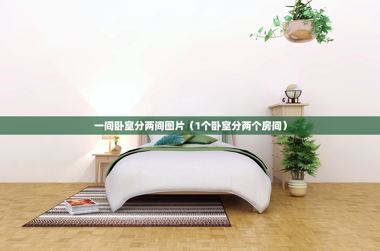 一间卧室分两间图片（1个卧室分两个房间）