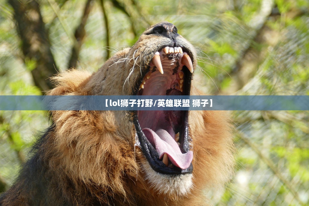 【lol狮子打野/英雄联盟 狮子】