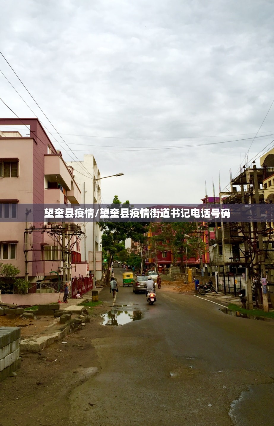 望奎县疫情/望奎县疫情街道书记电话号码 望奎县疫情/望奎县疫情街道书记电话号码