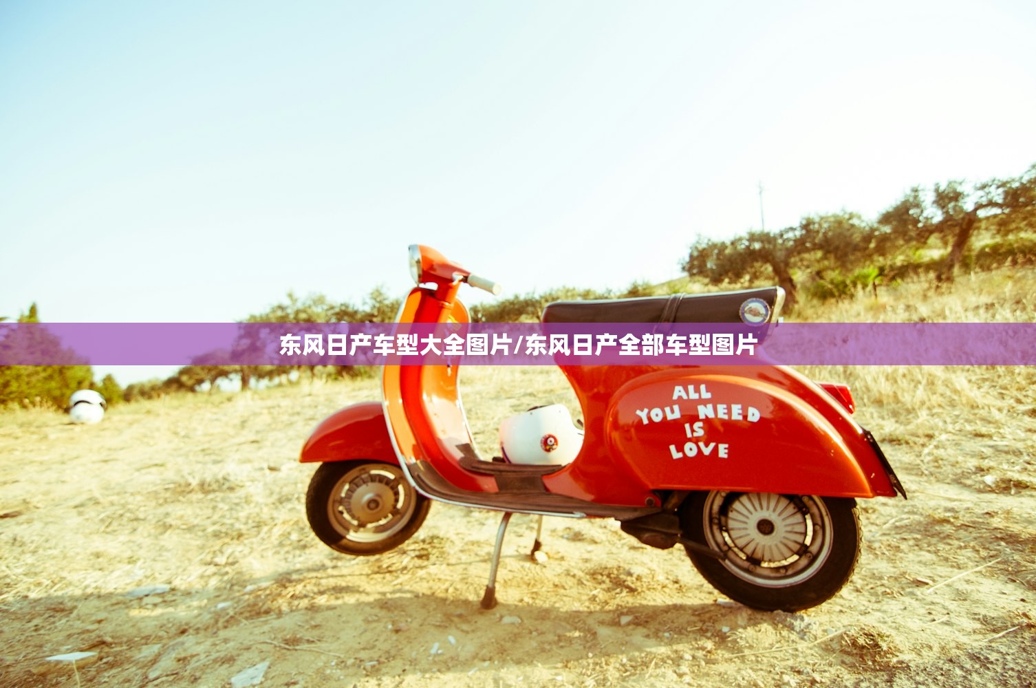 东风日产车型大全图片/东风日产全部车型图片 东风日产车型大全图片/东风日产全部车型图片