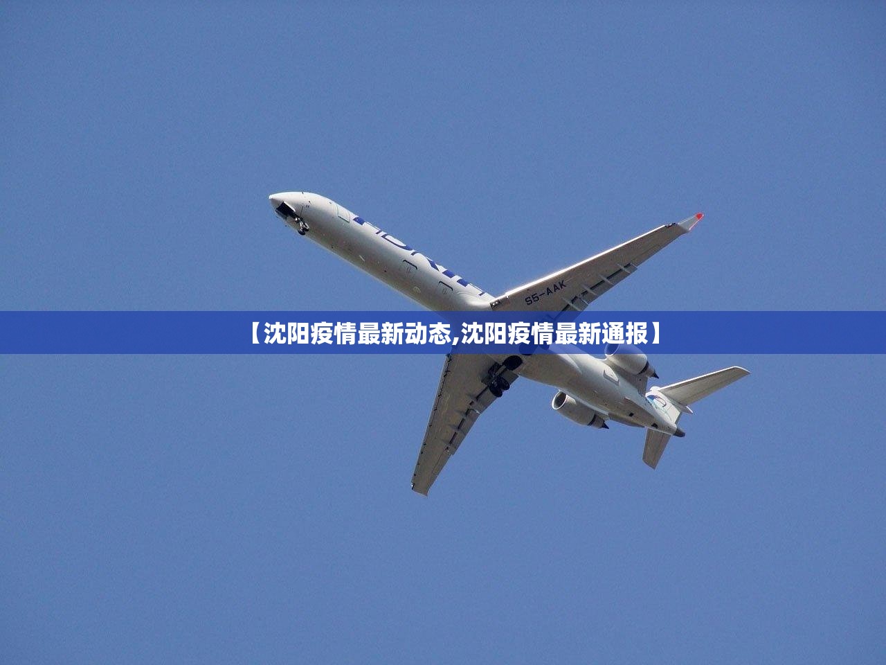 【沈阳疫情最新动态,沈阳疫情最新通报】 【沈阳疫情最新动态,沈阳疫情最新通报】