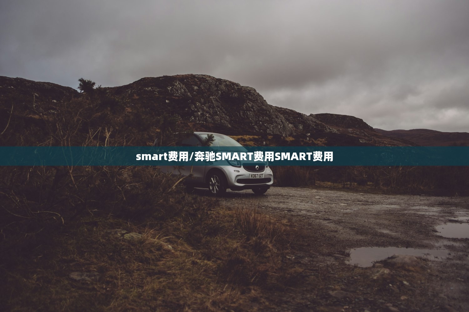 smart费用/奔驰SMART费用SMART费用 smart费用/奔驰SMART费用SMART费用