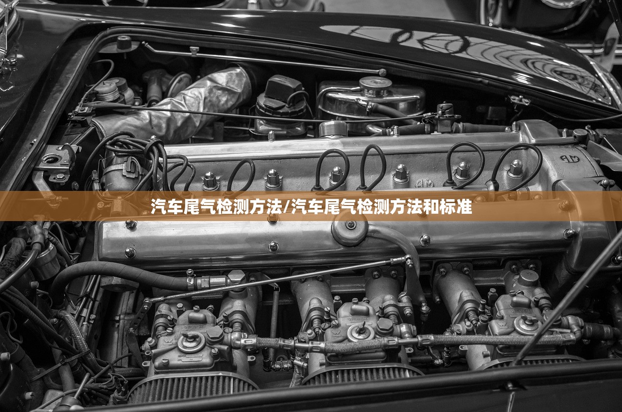 汽车尾气检测方法/汽车尾气检测方法和标准 汽车尾气检测方法/汽车尾气检测方法和标准