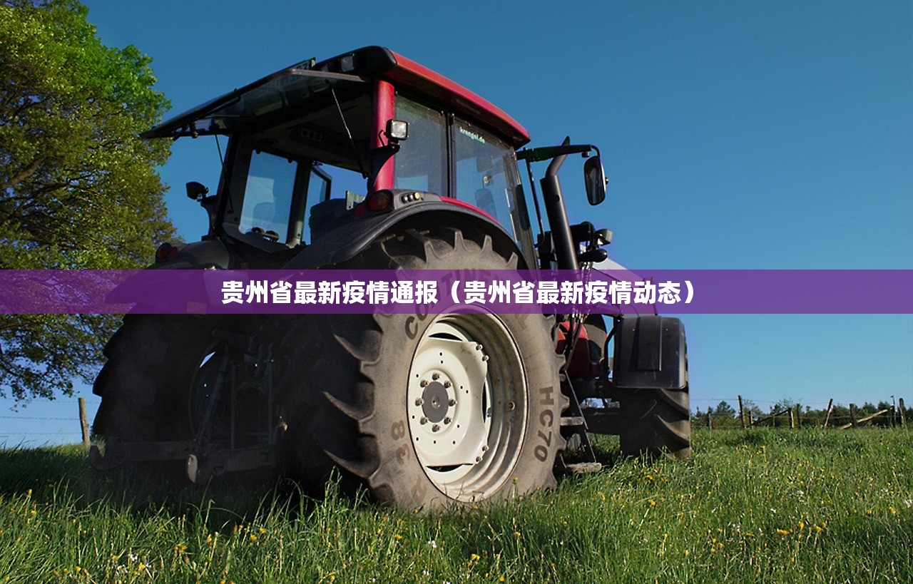 贵州省最新疫情通报(贵州省最新疫情动态) 贵州省最新疫情通报(贵州省最新疫情动态)