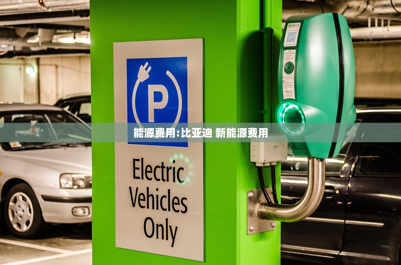能源费用:比亚迪 新能源费用 能源费用:比亚迪 新能源费用