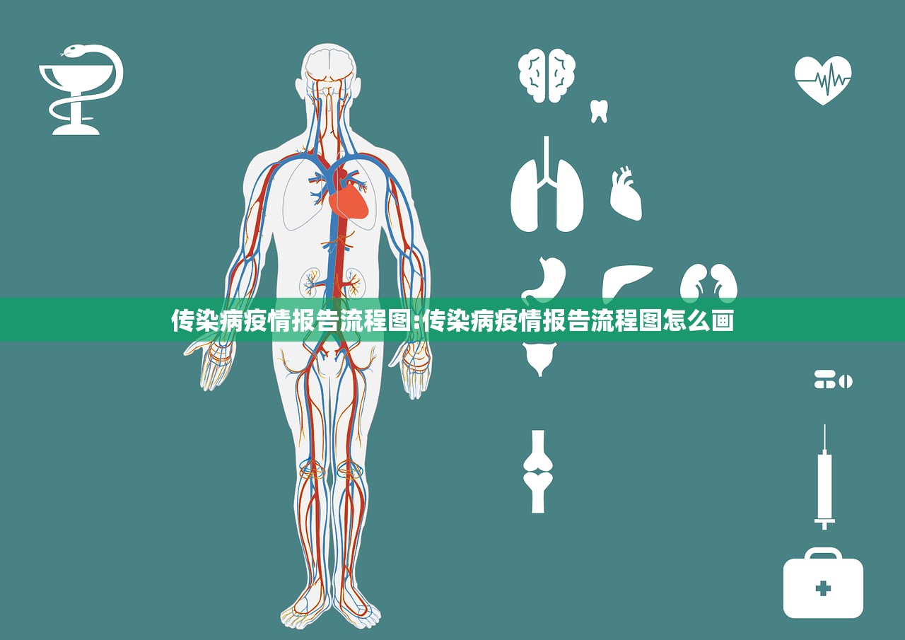 传染病疫情报告流程图:传染病疫情报告流程图怎么画 传染病疫情报告流程图:传染病疫情报告流程图怎么画