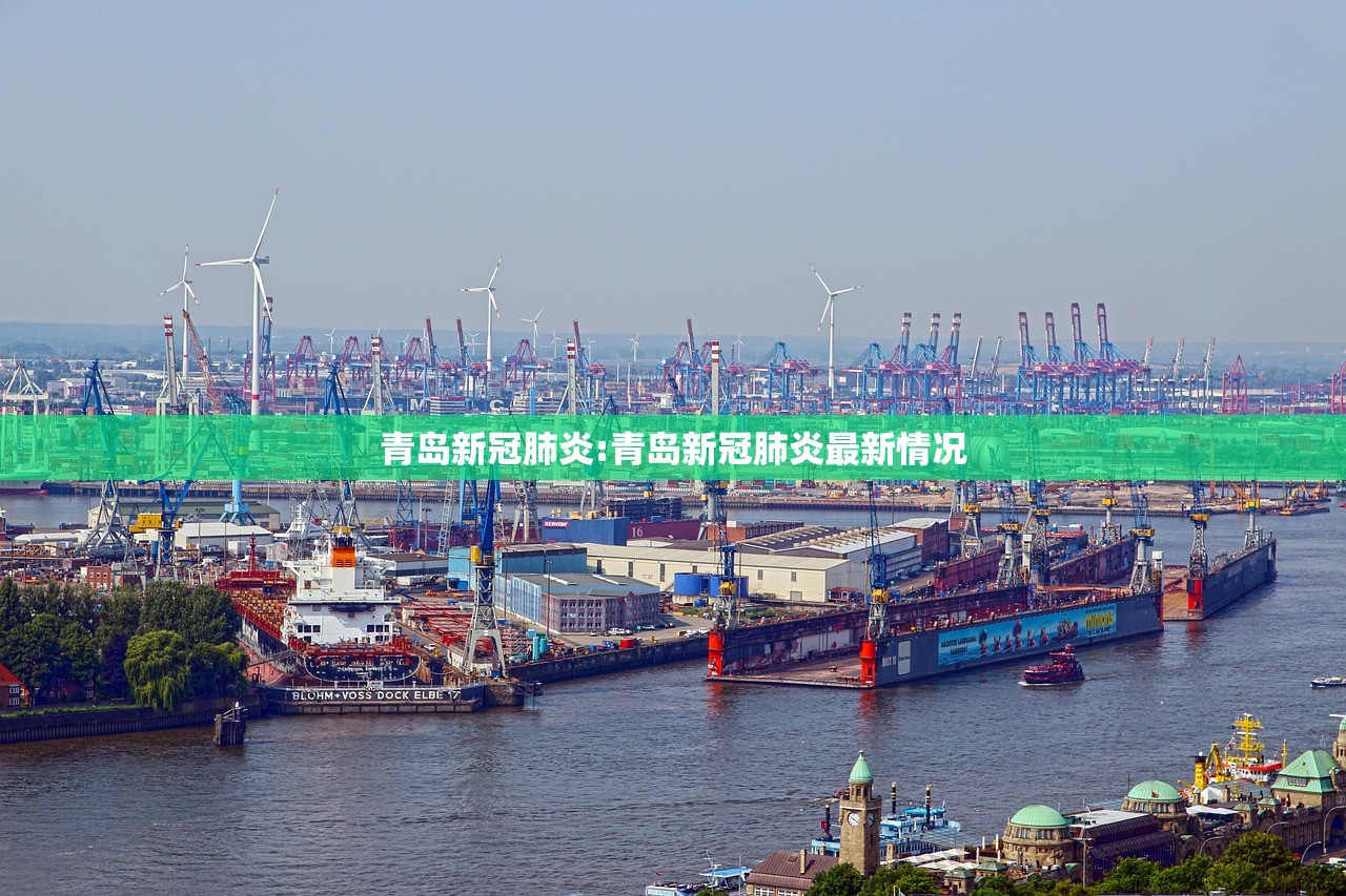 青岛新冠肺炎:青岛新冠肺炎最新情况 青岛新冠肺炎:青岛新冠肺炎最新情况