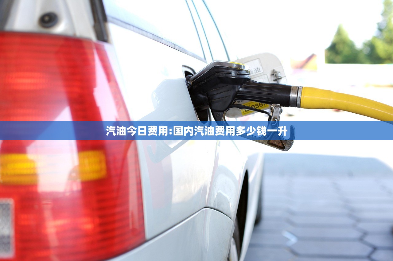 汽油今日费用:国内汽油费用多少钱一升 汽油今日费用:国内汽油费用多少钱一升