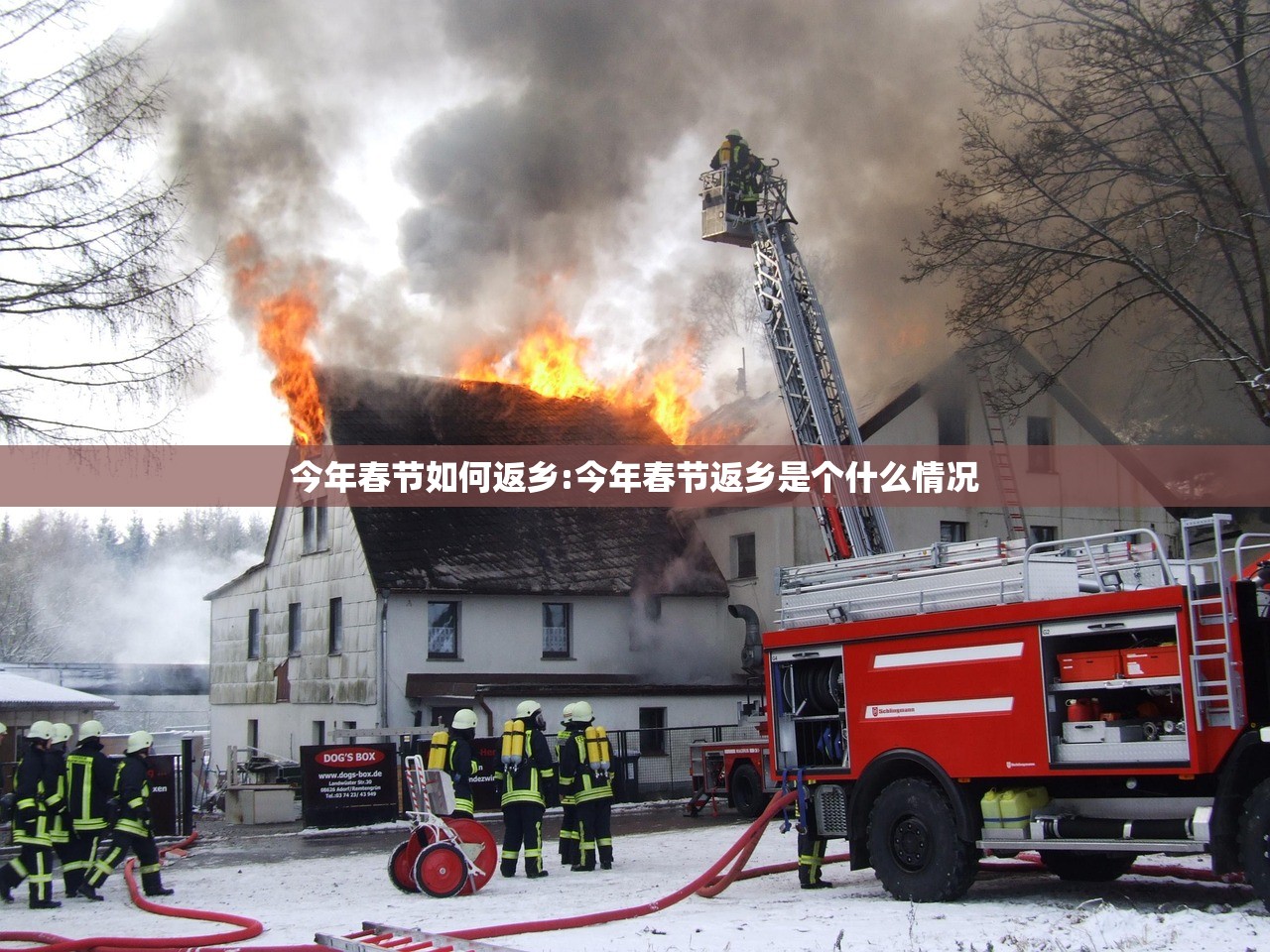 今年春节如何返乡:今年春节返乡是个什么情况 今年春节如何返乡:今年春节返乡是个什么情况