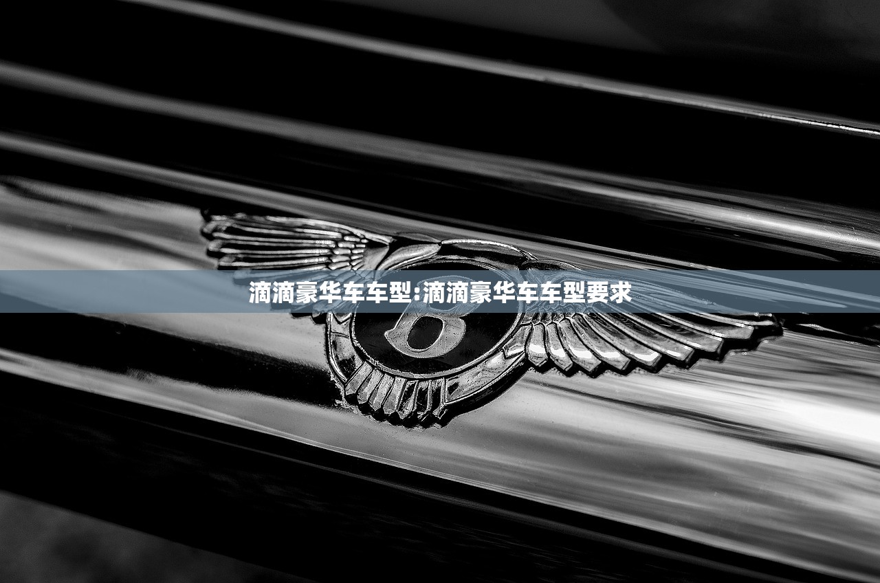 滴滴豪华车车型:滴滴豪华车车型要求 滴滴豪华车车型:滴滴豪华车车型要求