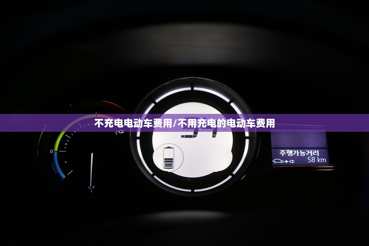 不充电电动车费用/不用充电的电动车费用