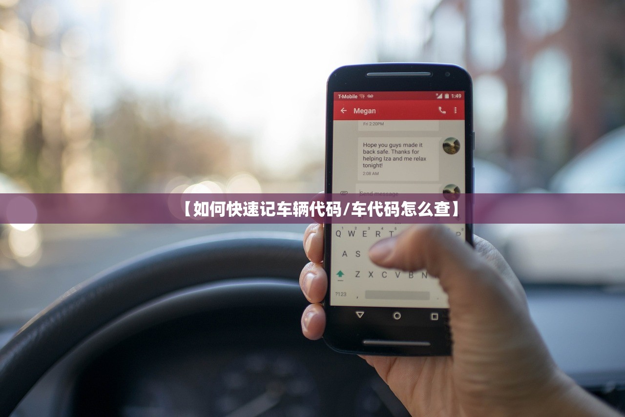 【如何快速记车辆代码/车代码怎么查】