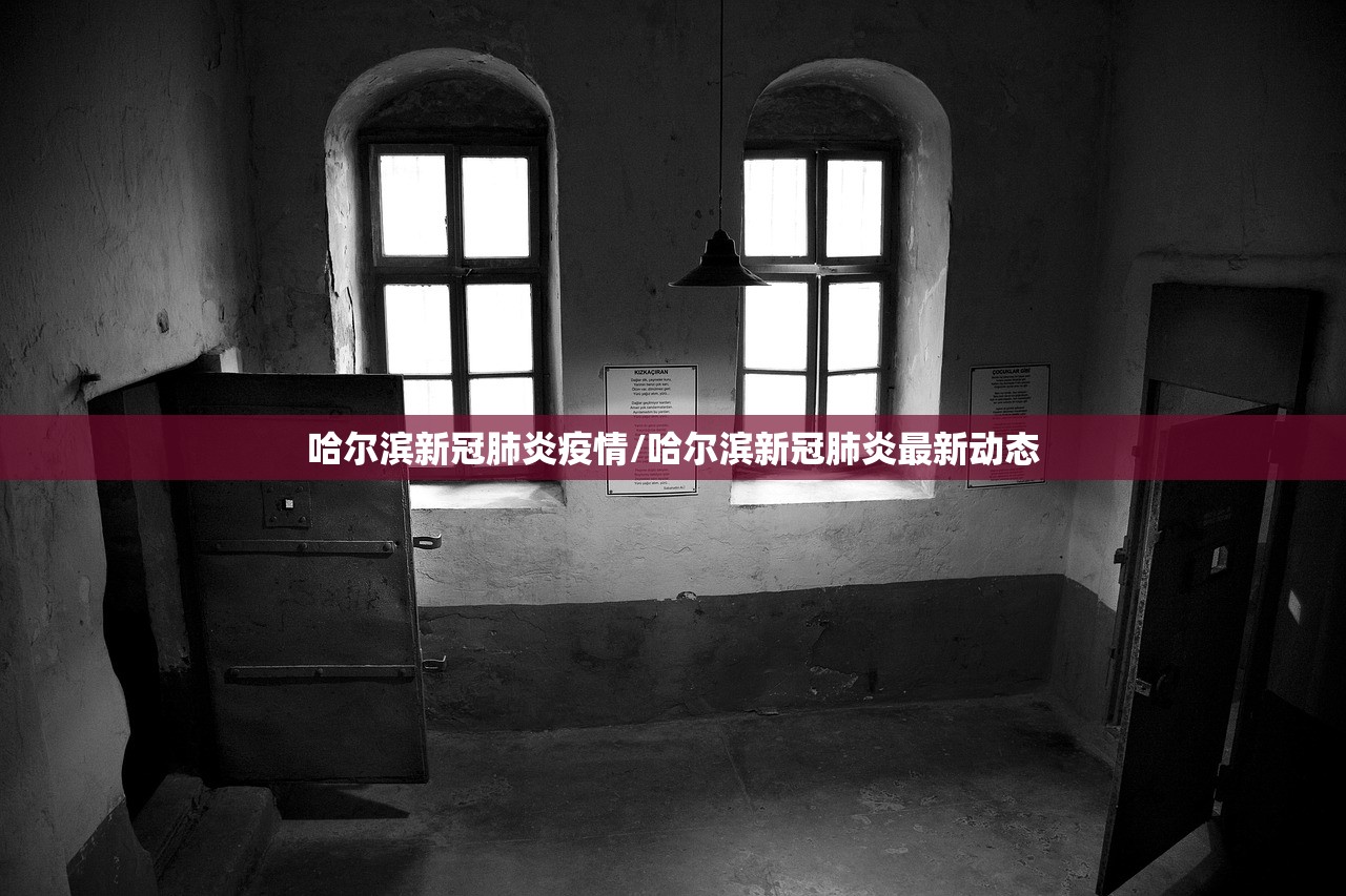 哈尔滨新冠肺炎疫情/哈尔滨新冠肺炎最新动态
