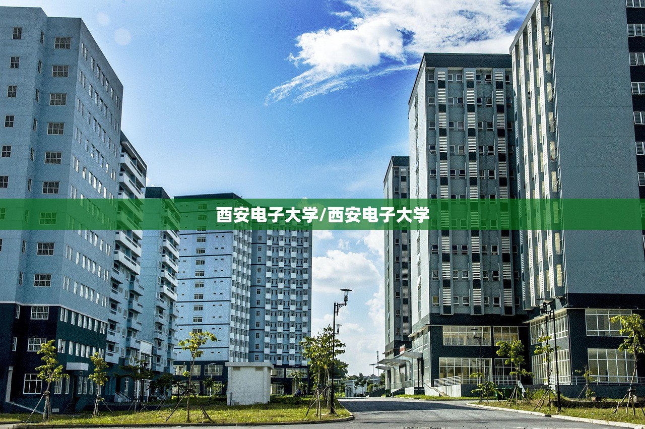 酉安电子大学/西安电子大学