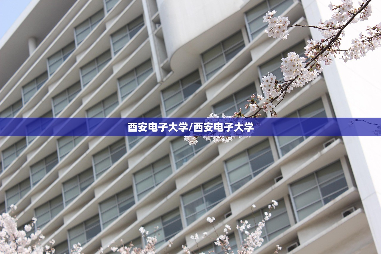 酉安电子大学/西安电子大学