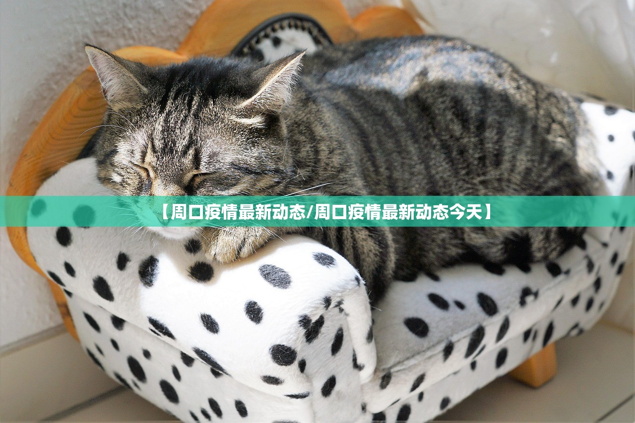 【周口疫情最新动态/周口疫情最新动态今天】