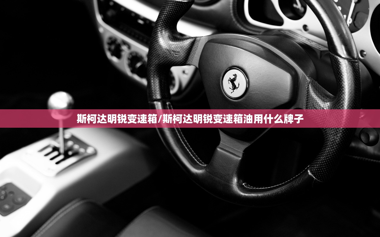 斯柯达明锐变速箱/斯柯达明锐变速箱油用什么牌子