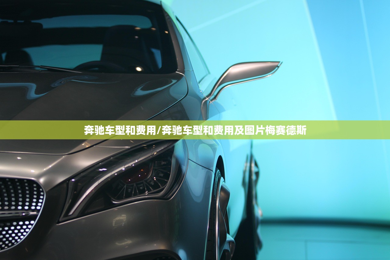 奔驰车型和费用/奔驰车型和费用及图片梅赛德斯