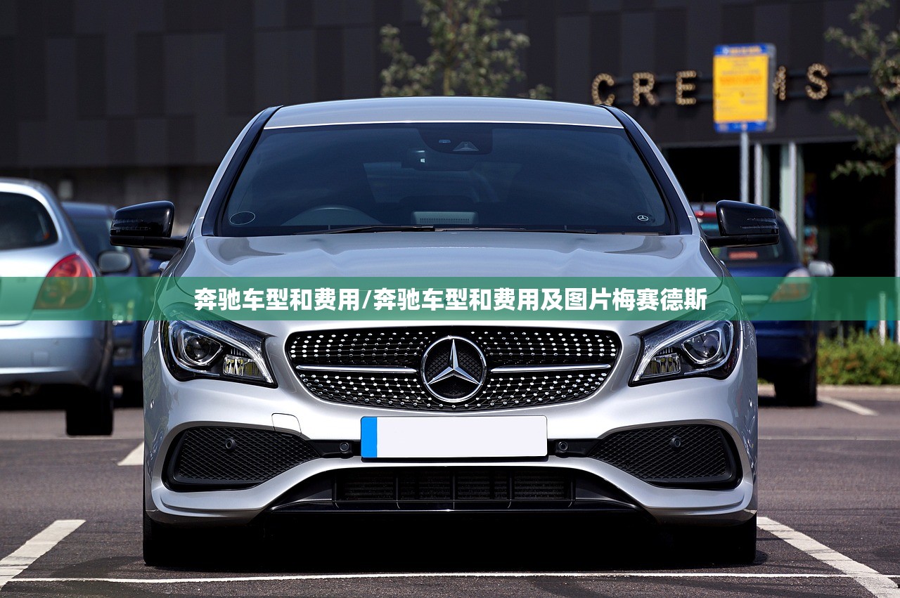 奔驰车型和费用/奔驰车型和费用及图片梅赛德斯
