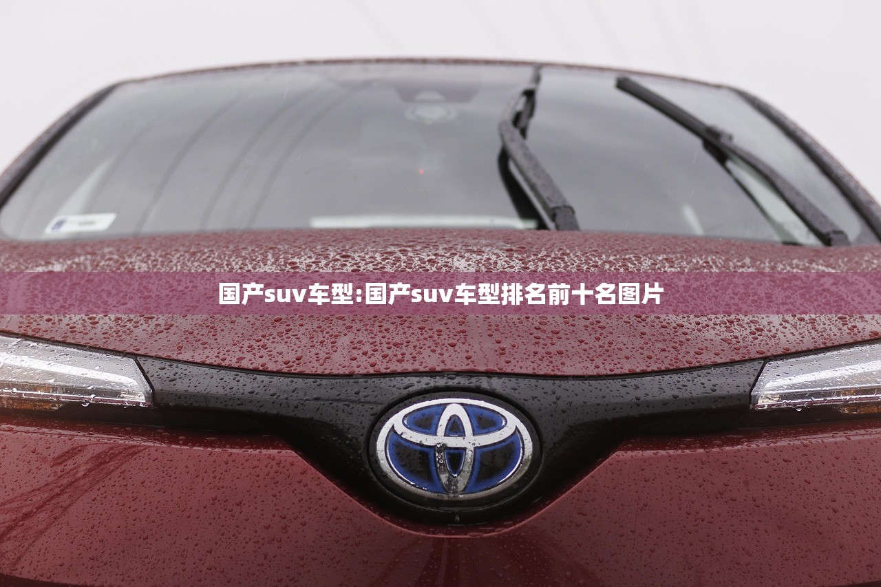 国产suv车型:国产suv车型排名前十名图片