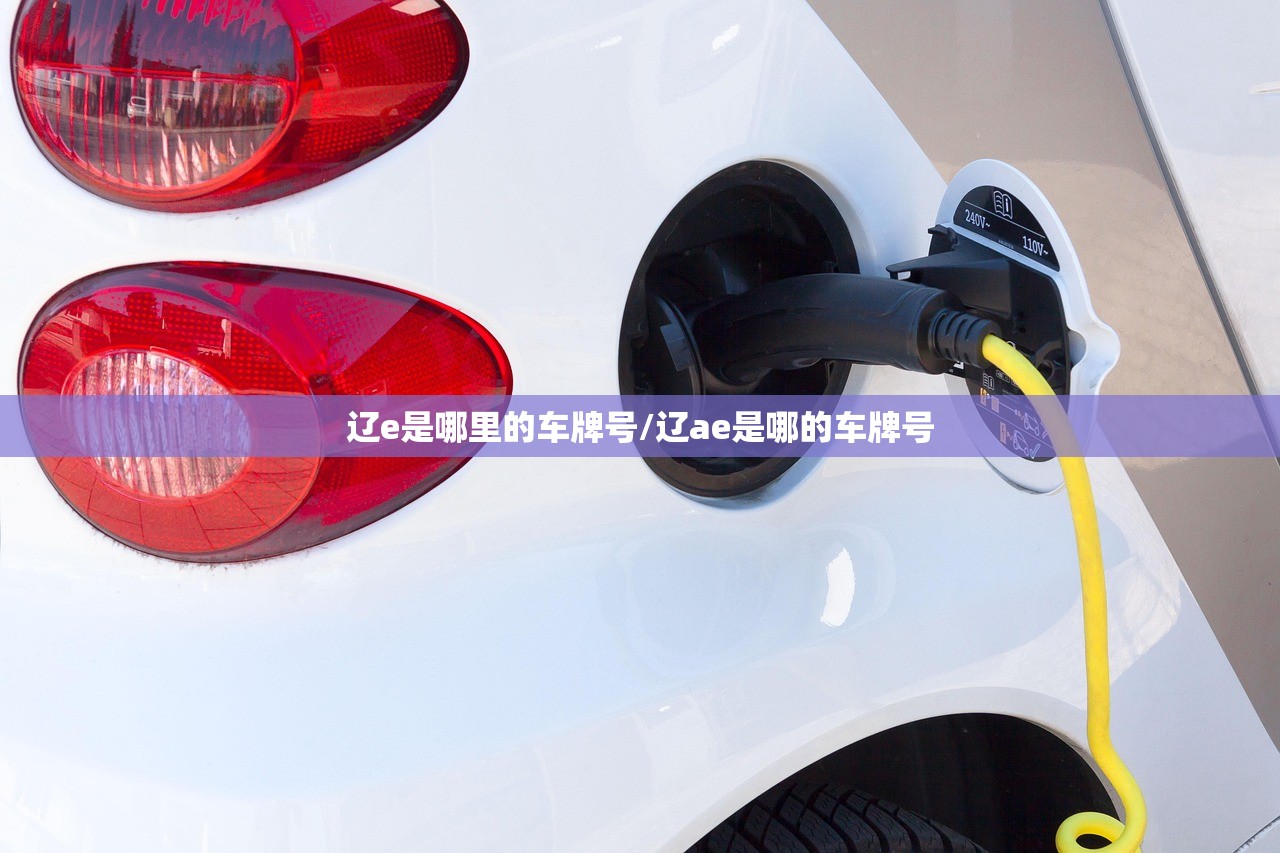 辽e是哪里的车牌号/辽ae是哪的车牌号