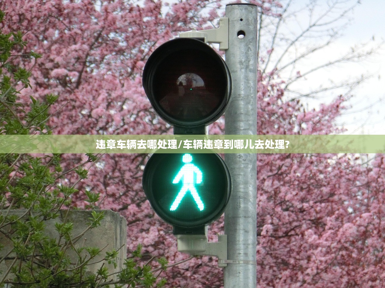 违章车辆去哪处理/车辆违章到哪儿去处理?