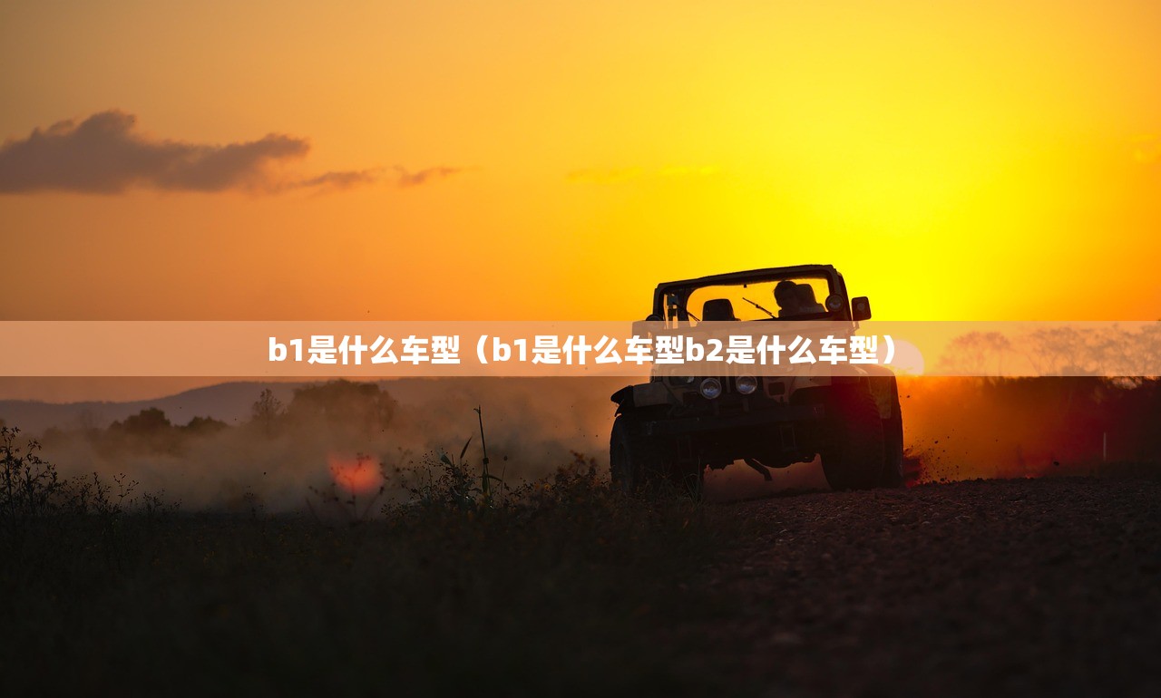 b1是什么车型（b1是什么车型b2是什么车型）
