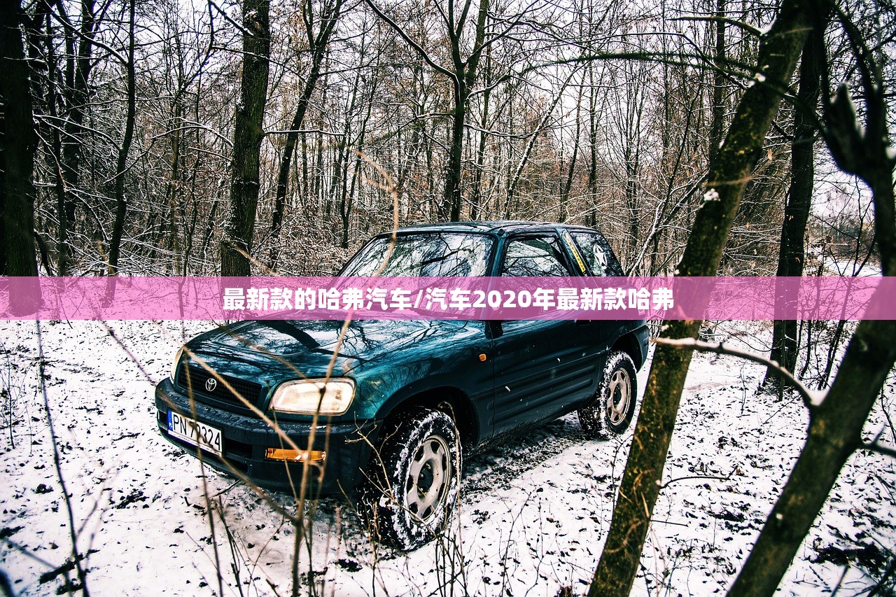 最新款的哈弗汽车/汽车2020年最新款哈弗