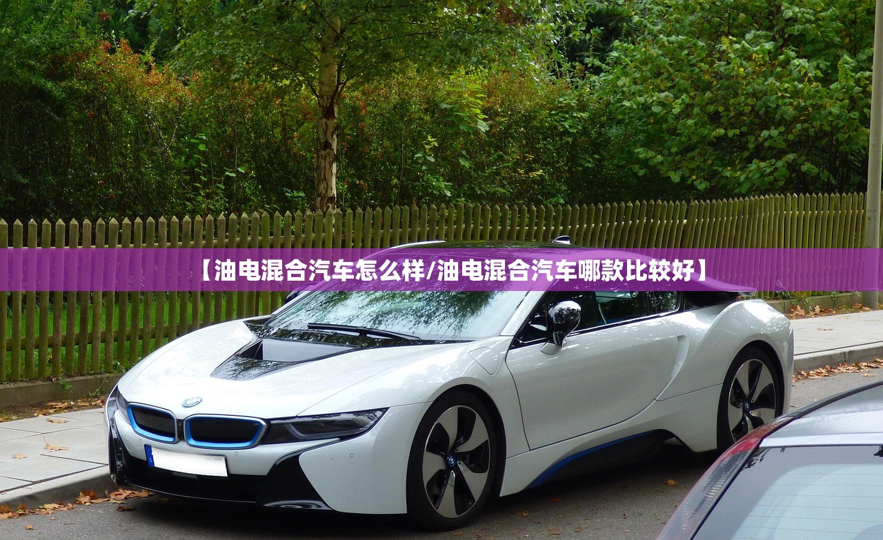 【油电混合汽车怎么样/油电混合汽车哪款比较好】