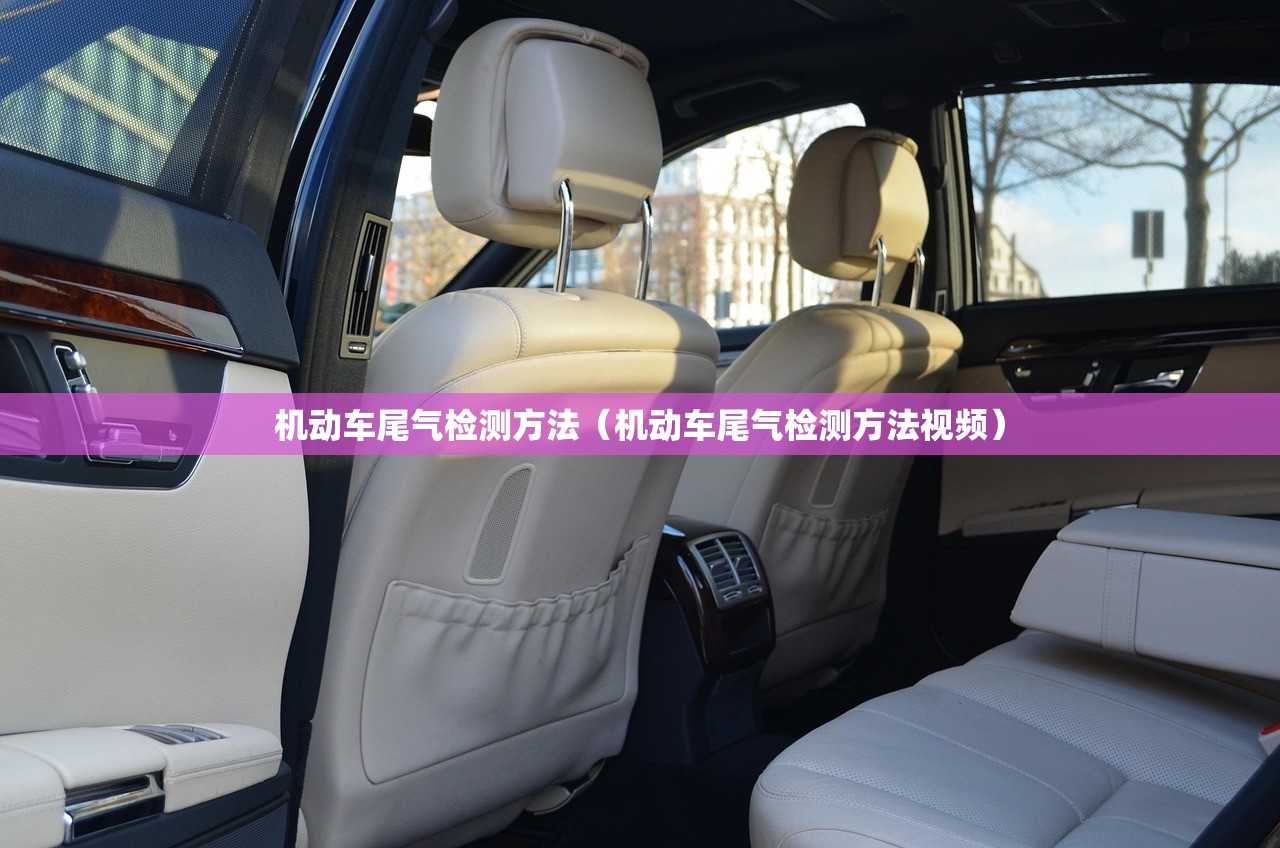 机动车尾气检测方法（机动车尾气检测方法视频）