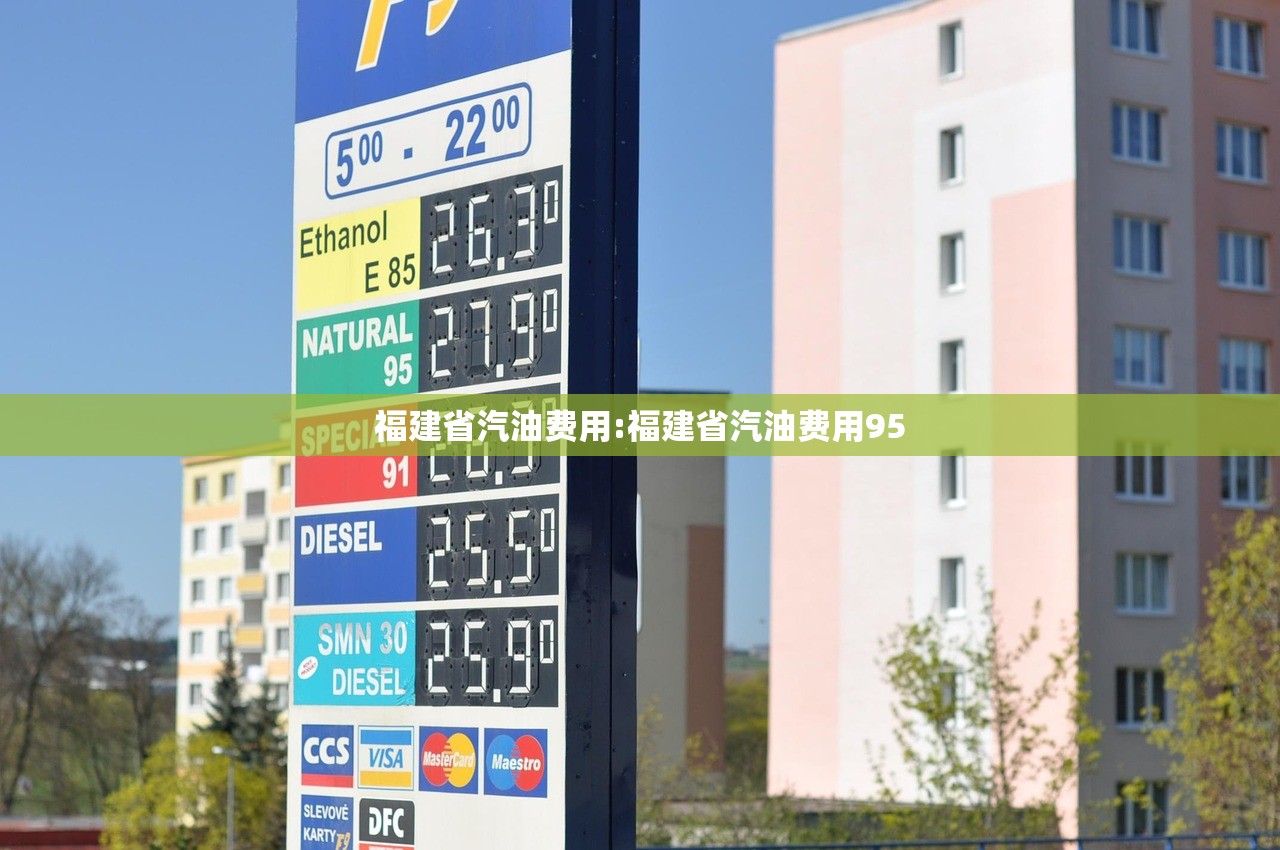 福建省汽油费用:福建省汽油费用95