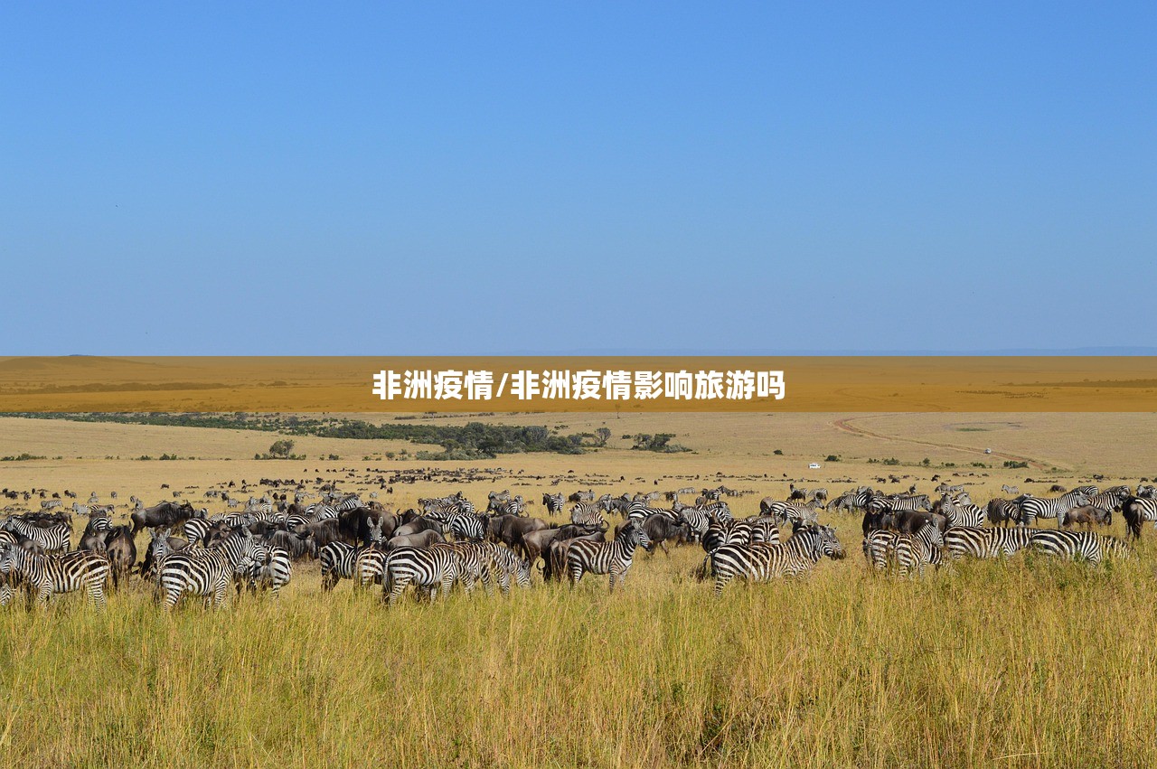 非洲疫情/非洲疫情影响旅游吗