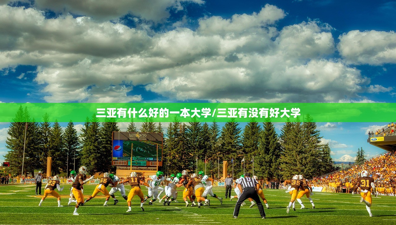 三亚有什么好的一本大学/三亚有没有好大学