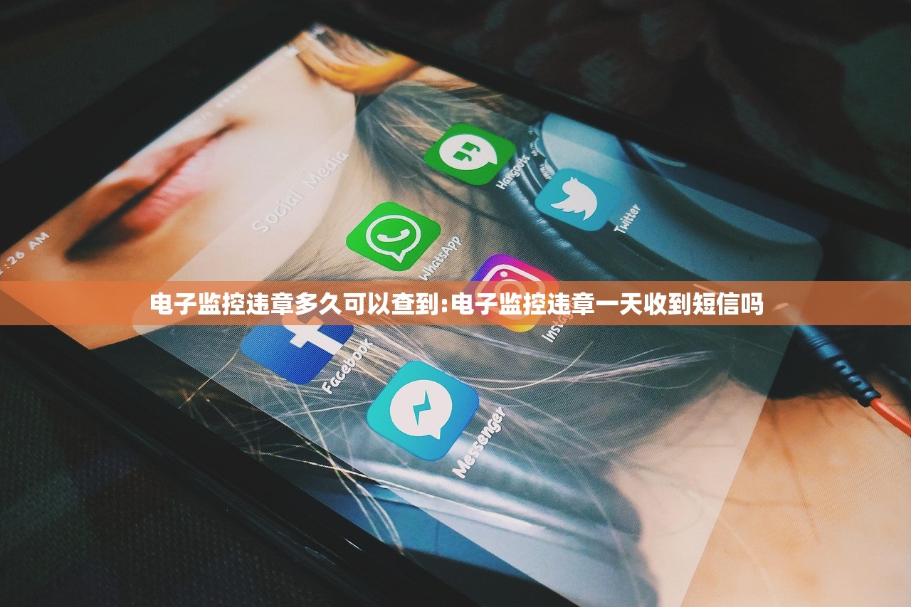 电子监控违章多久可以查到:电子监控违章一天收到短信吗